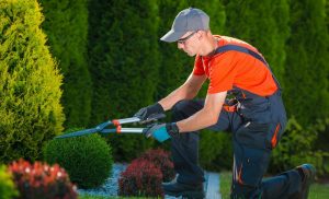 gardening ealing