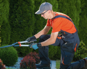 gardening ealing