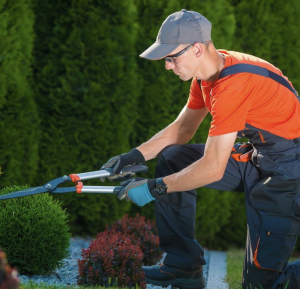 gardening ealing