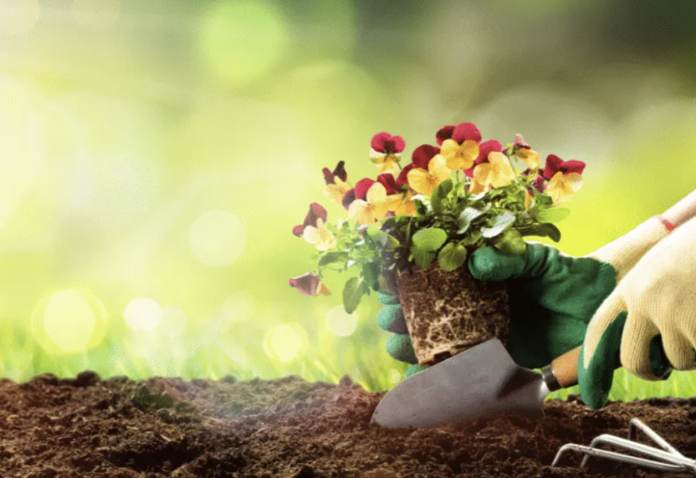 You must love to hire gardeners in Ealing