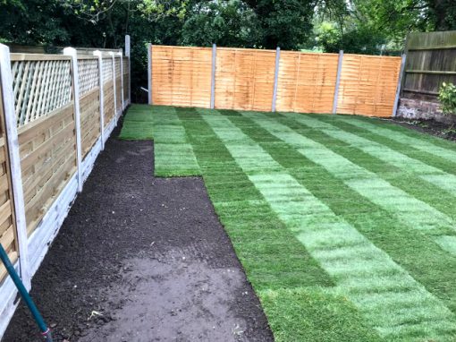 Ealing gardener W5 London