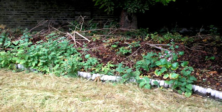 Garden Clearance Ealing W5 Garden Clearance Ealing W5